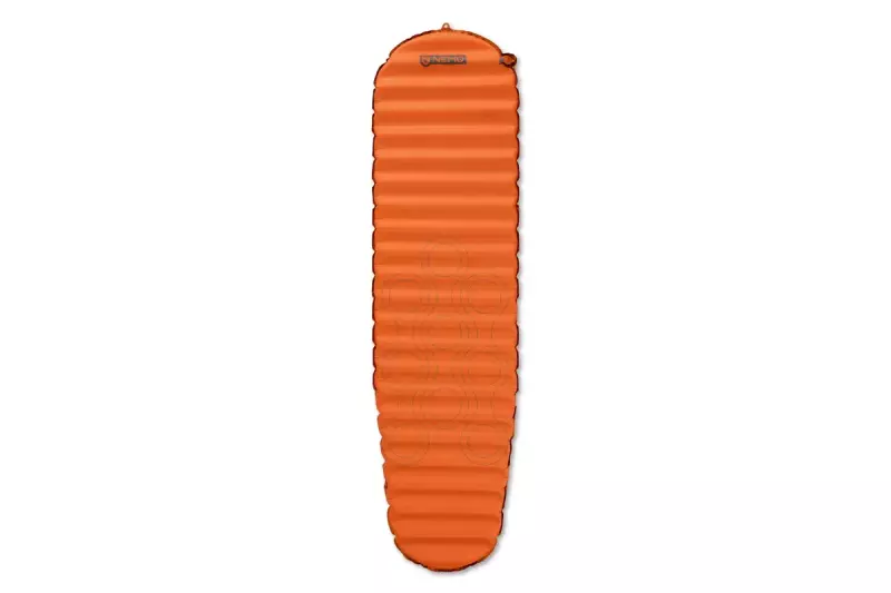 nemoフライヤーレギュラーマミー