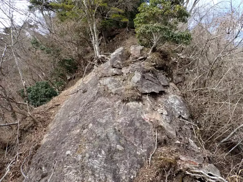 大山三峰山 登山 登山道