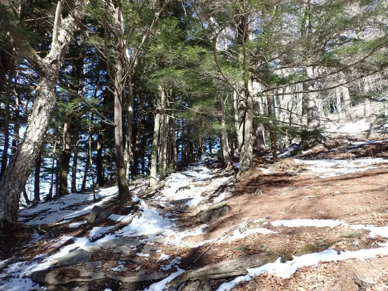 瑞牆山 登山 登山道