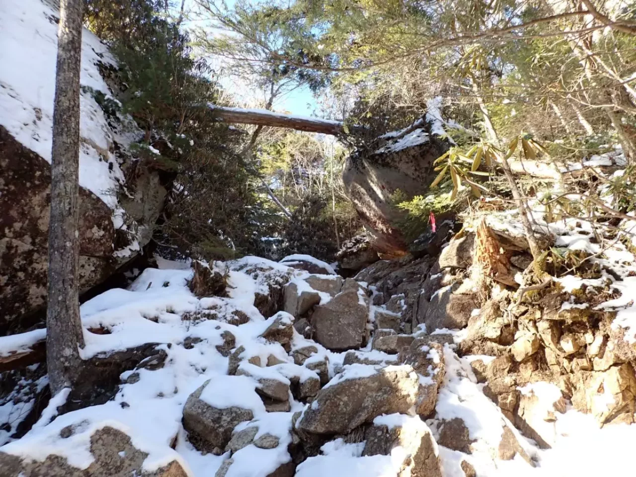 瑞牆山 登山 登山道