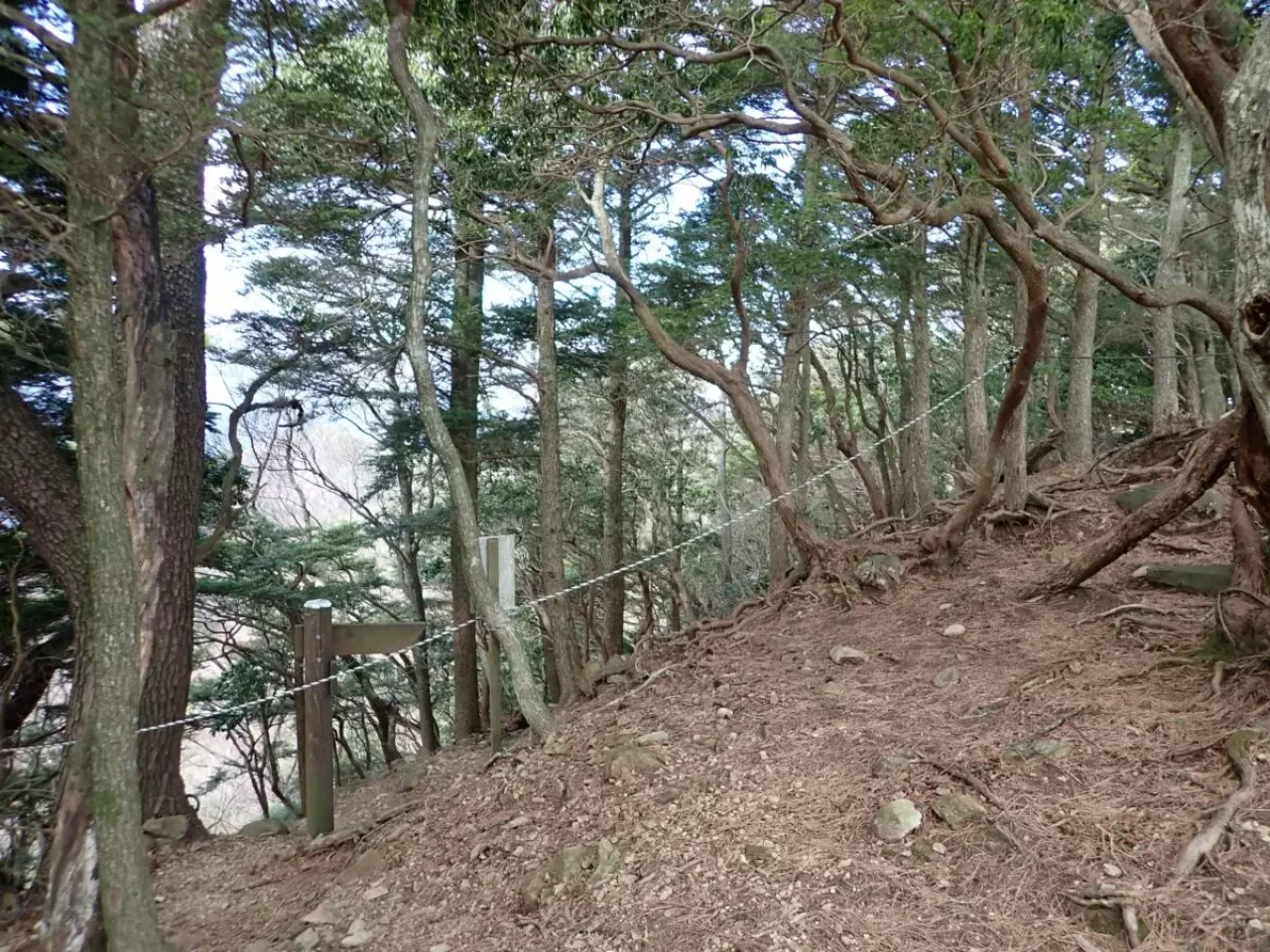 大山三峰山 登山 登山道