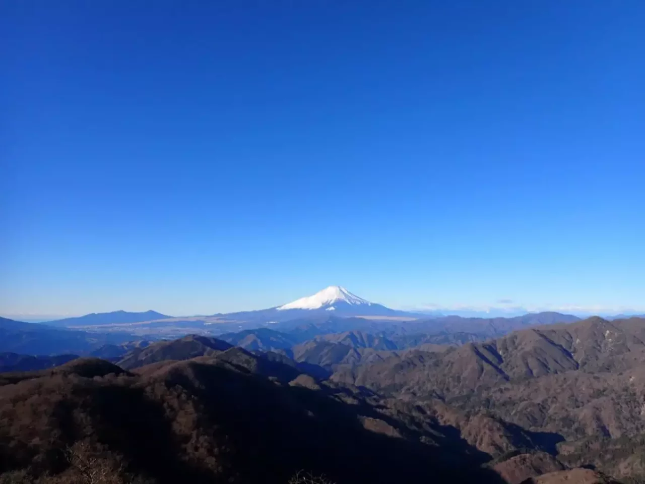 縦走登山 おすすめ 眺望 塔ノ岳