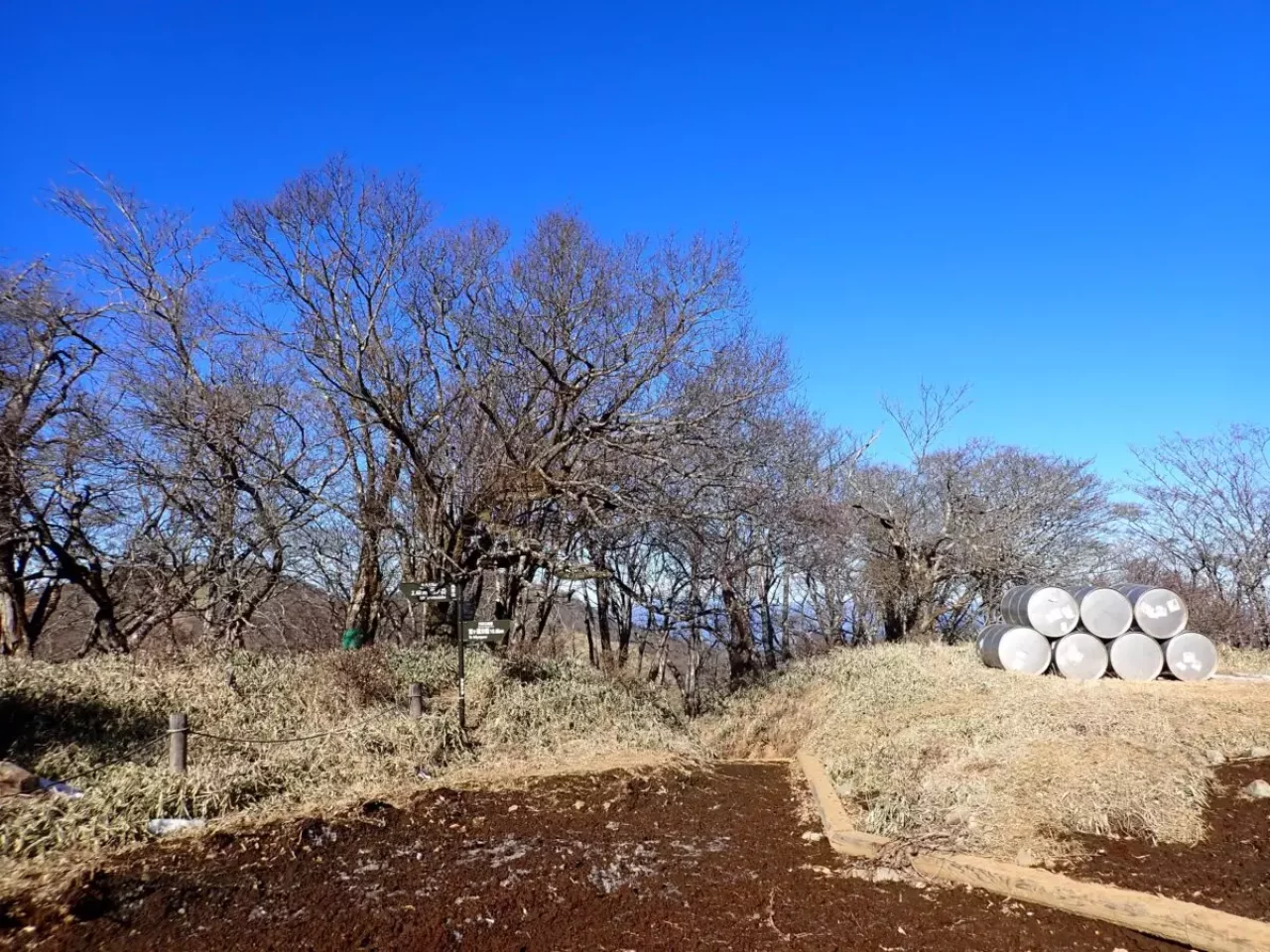 3月 登山 おすすめ 登山道