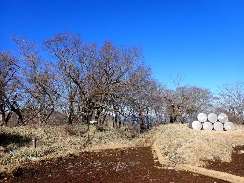 3月 登山 おすすめ 登山道