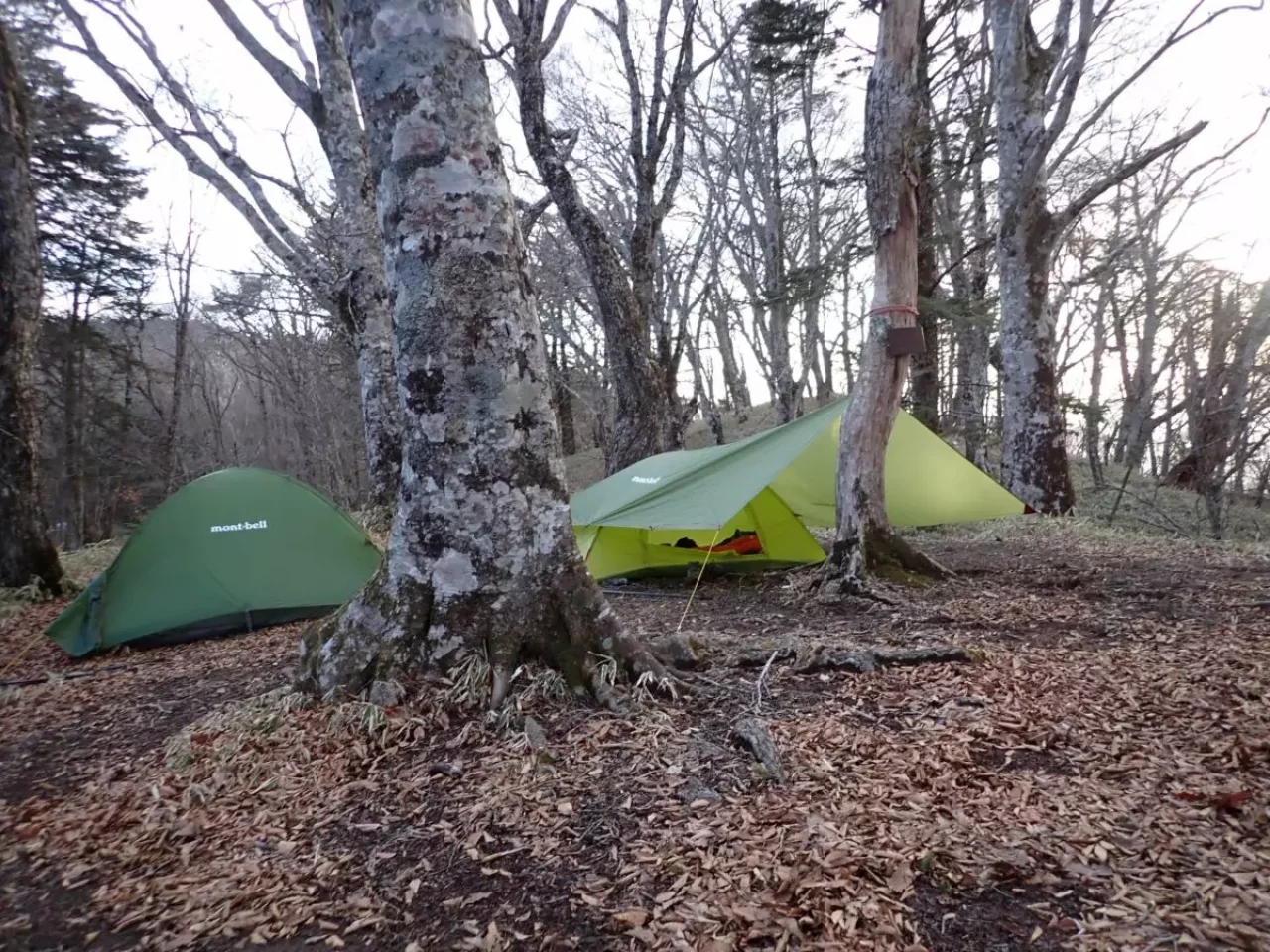 初めてのテント泊 おすすめ