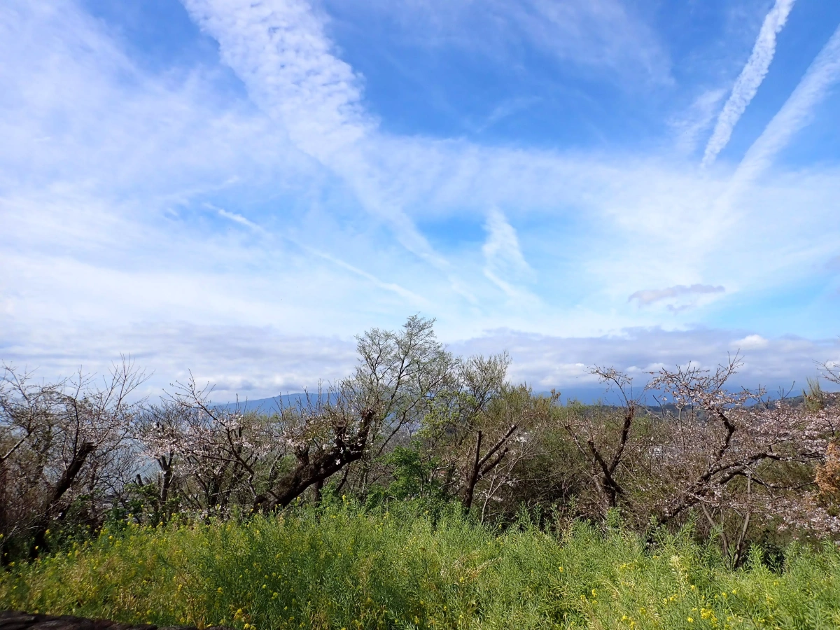 登山シーズン到来!4月の春山を楽しめる各地の山をご紹介