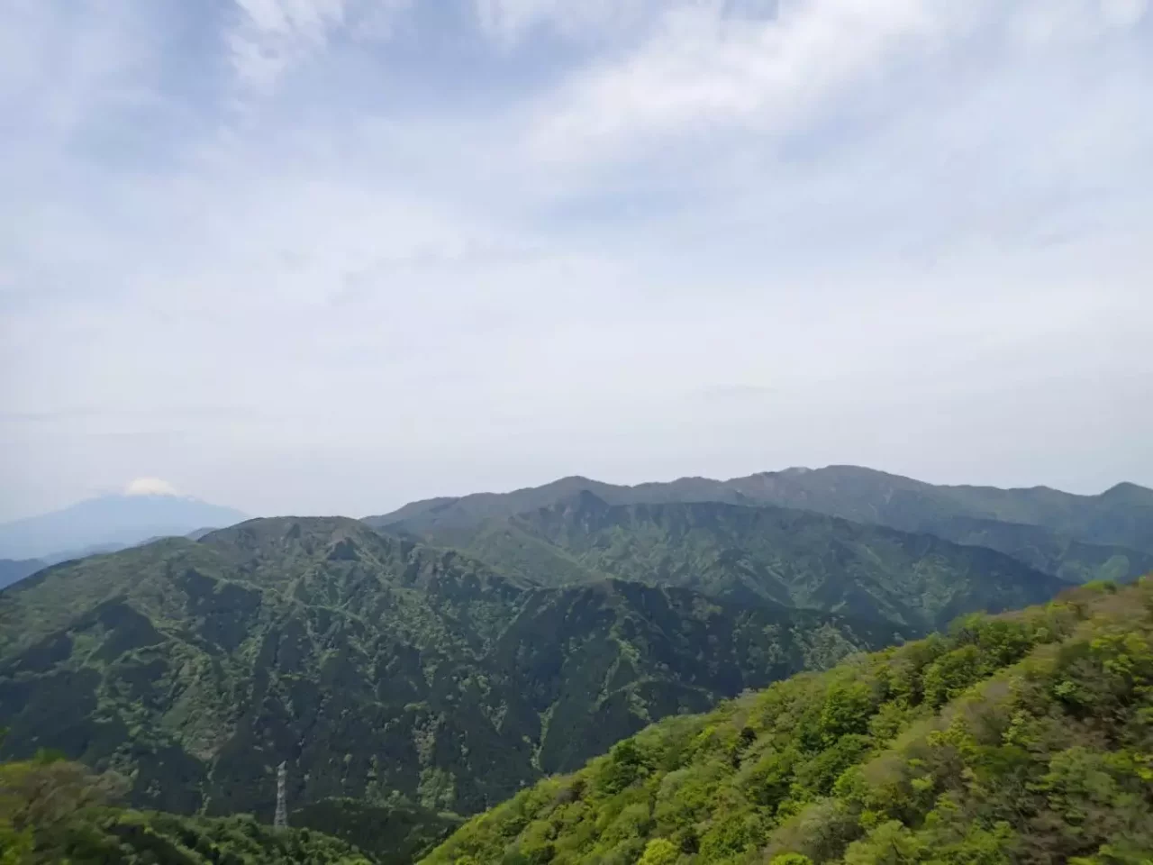 半日 登山 おすすめ 大山 丹沢