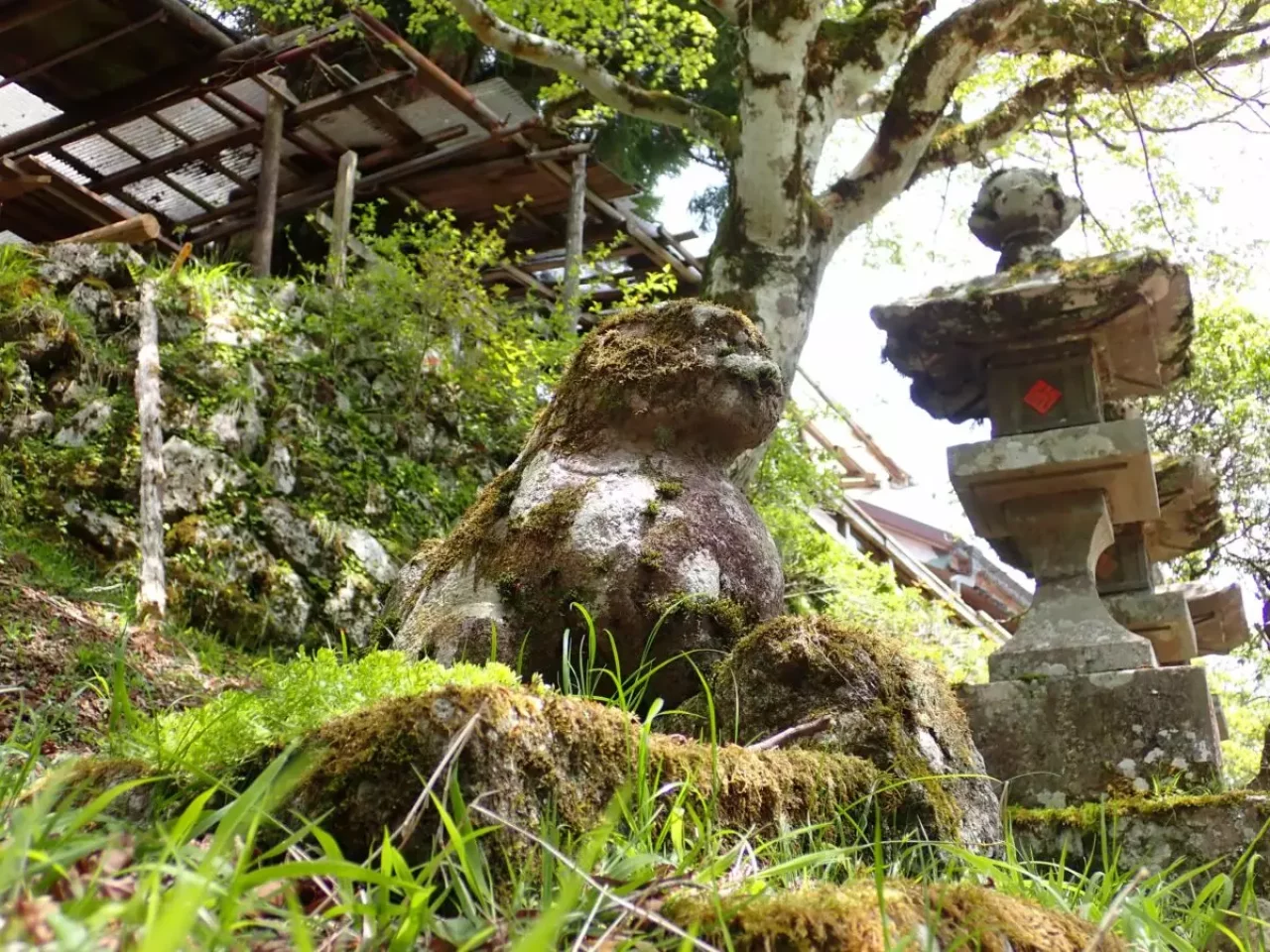 低山 関東 おすすめ 登山