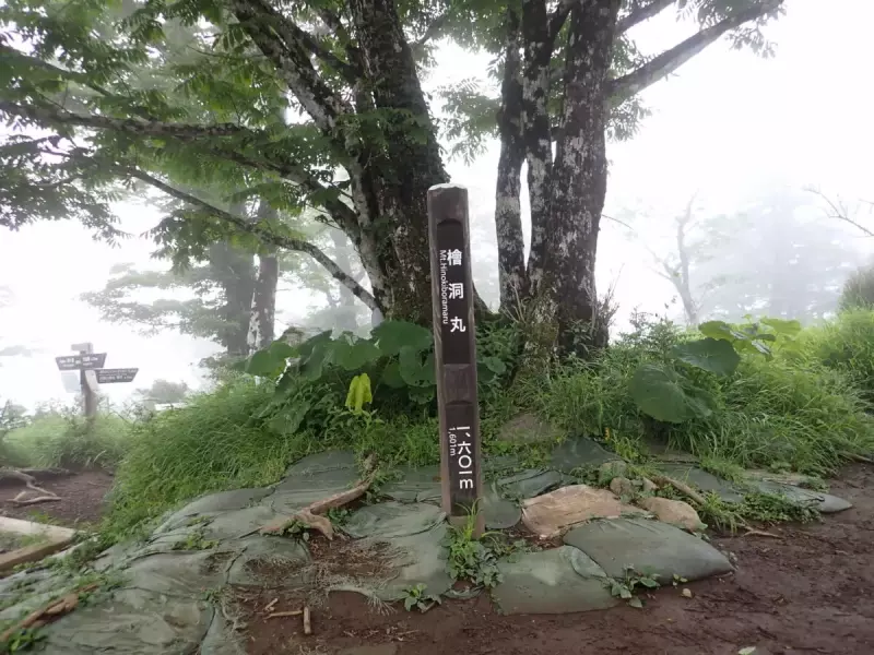 丹沢 登山 檜洞丸 山頂