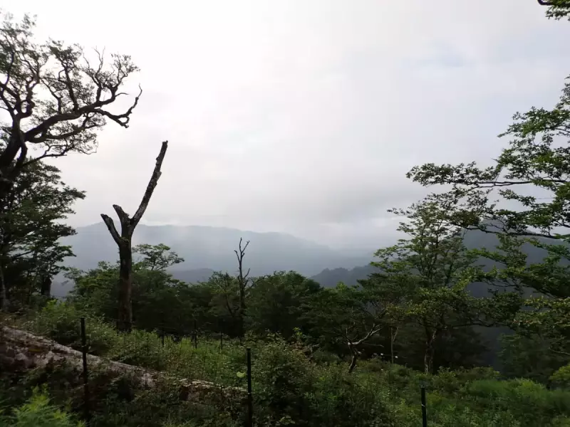 丹沢 登山 檜洞丸 登山道