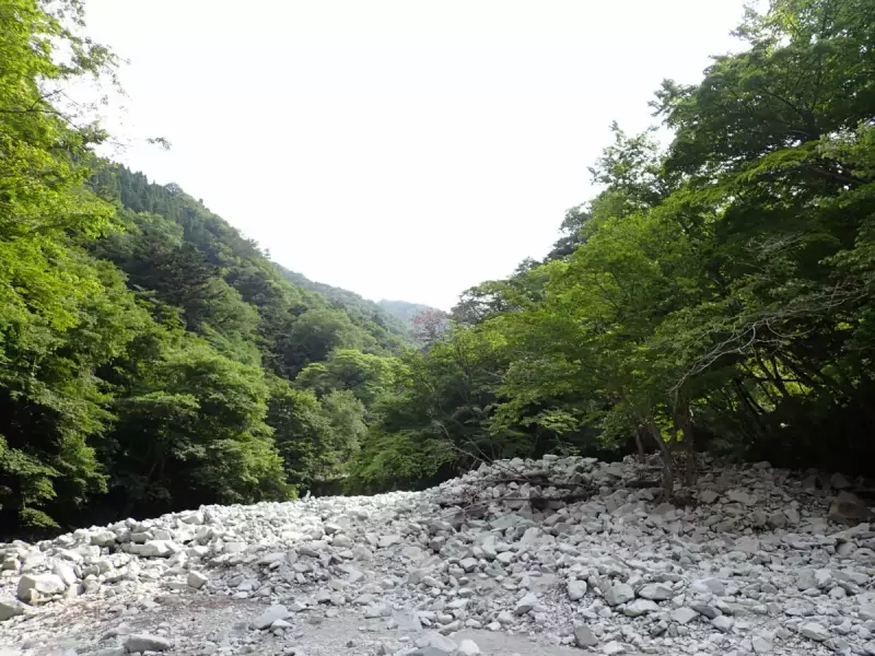 丹沢 登山 檜洞丸 ゴーラ沢出合