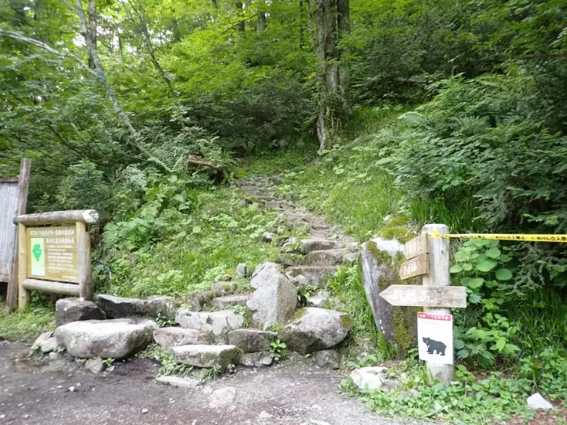 双六岳 登山 笠新道 登山口 水場