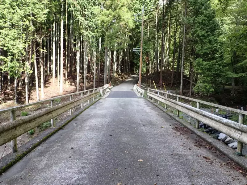 丹沢 大室山 加入道山 登山道