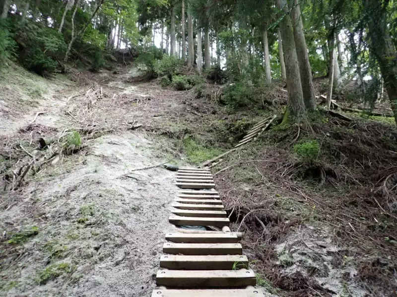 畦ヶ丸 登山 登山道