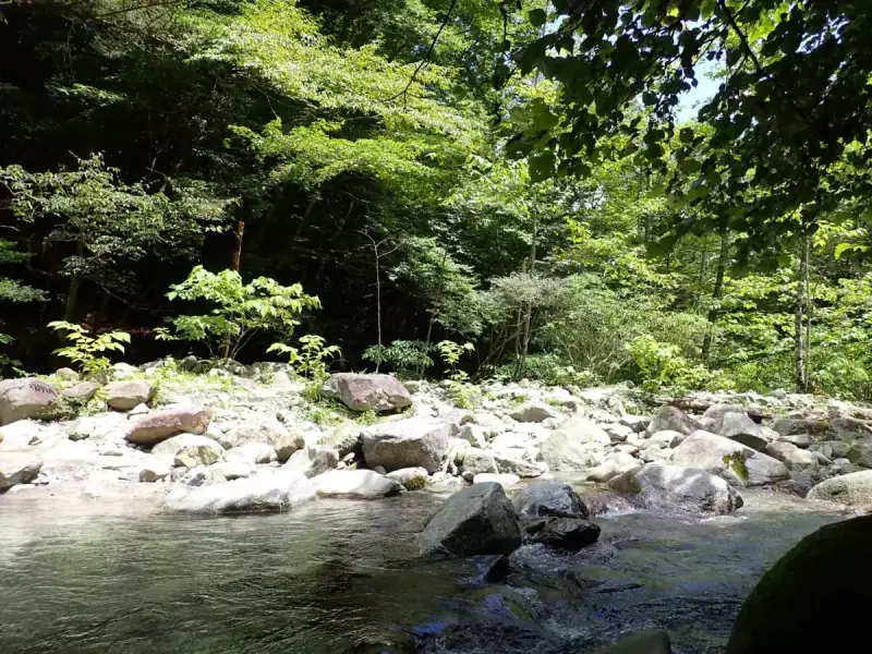畦ヶ丸 登山 登山道