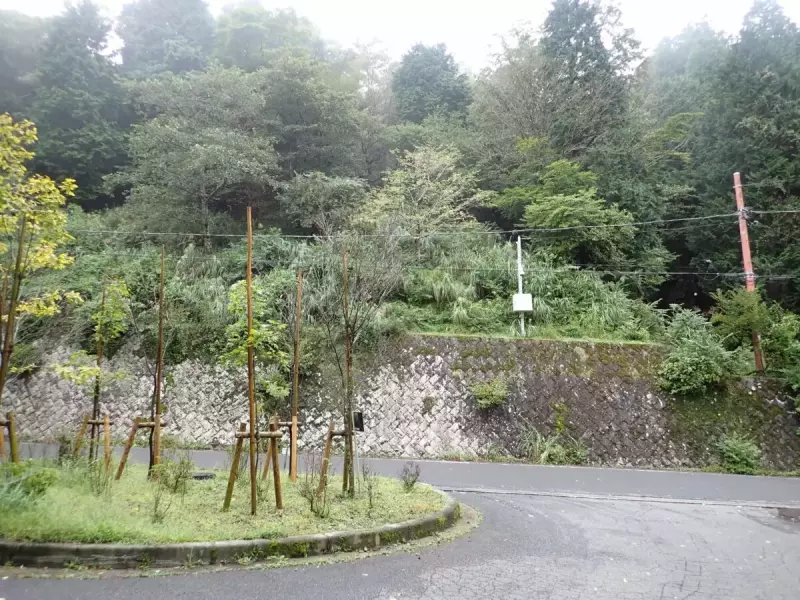 烏尾山 登山 登山口 ヤビツ峠