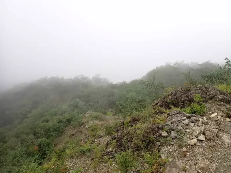 烏尾山 登山 登山道