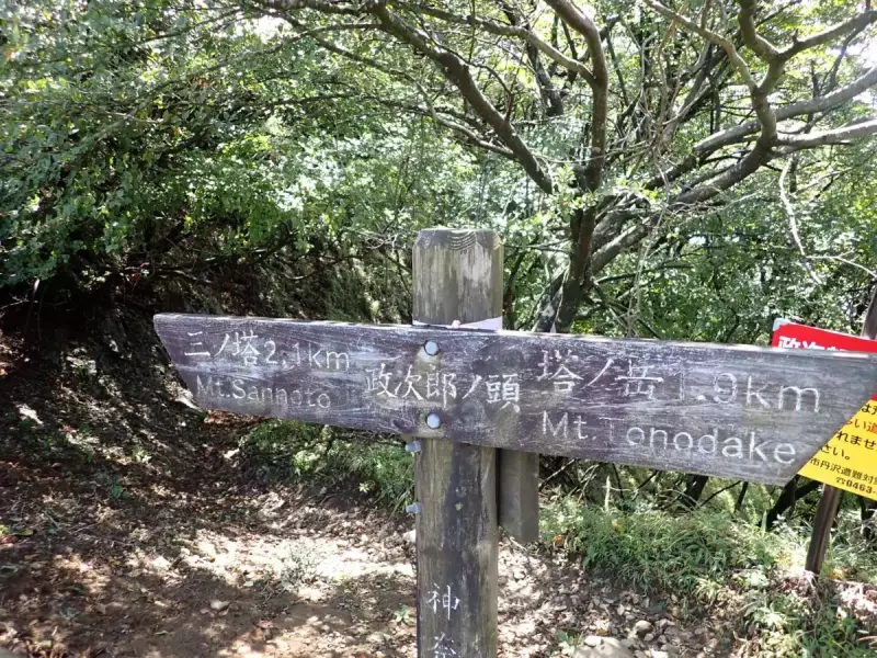 烏尾山 登山 登山道