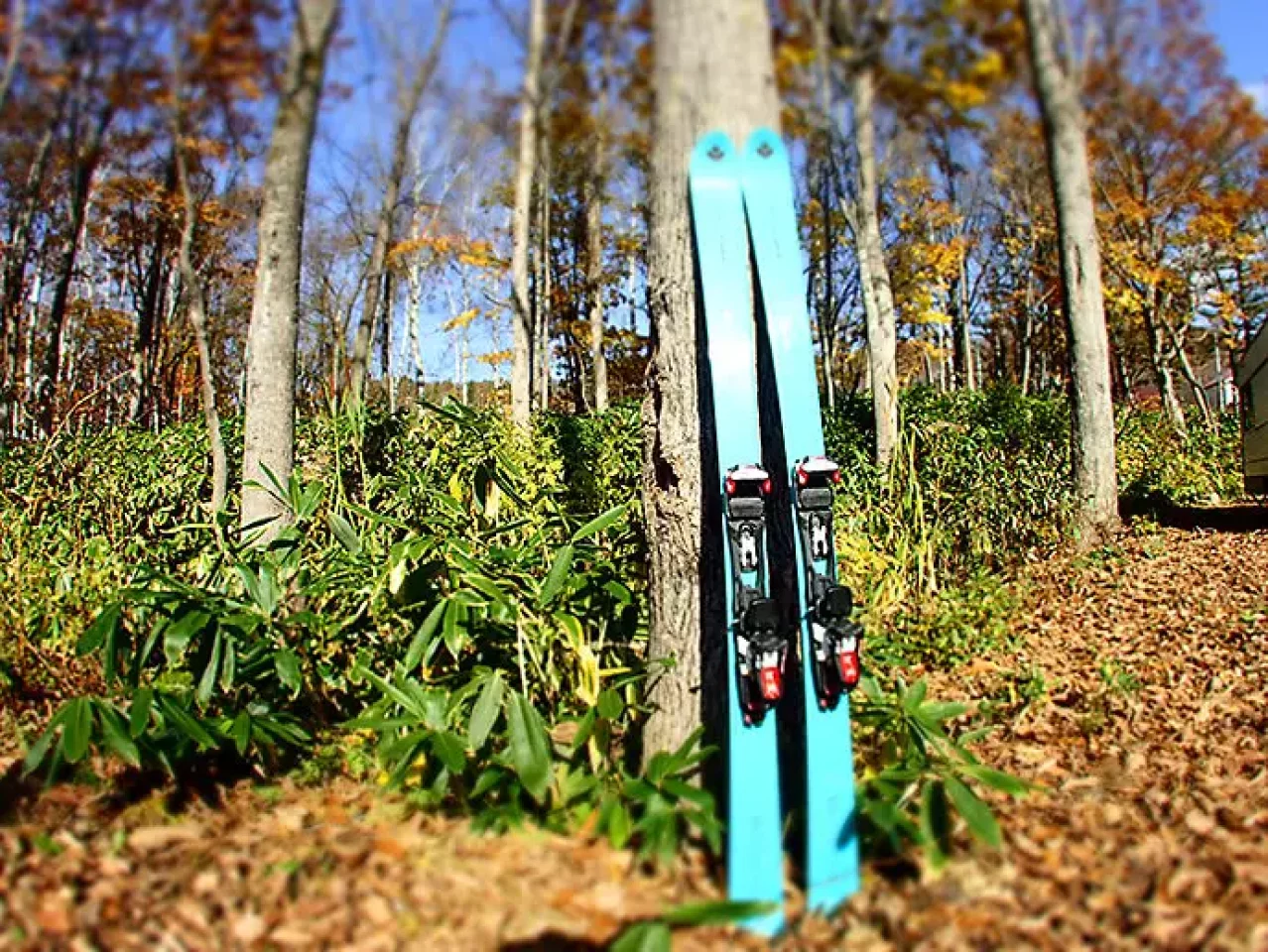 Vector Glide COLDOVA