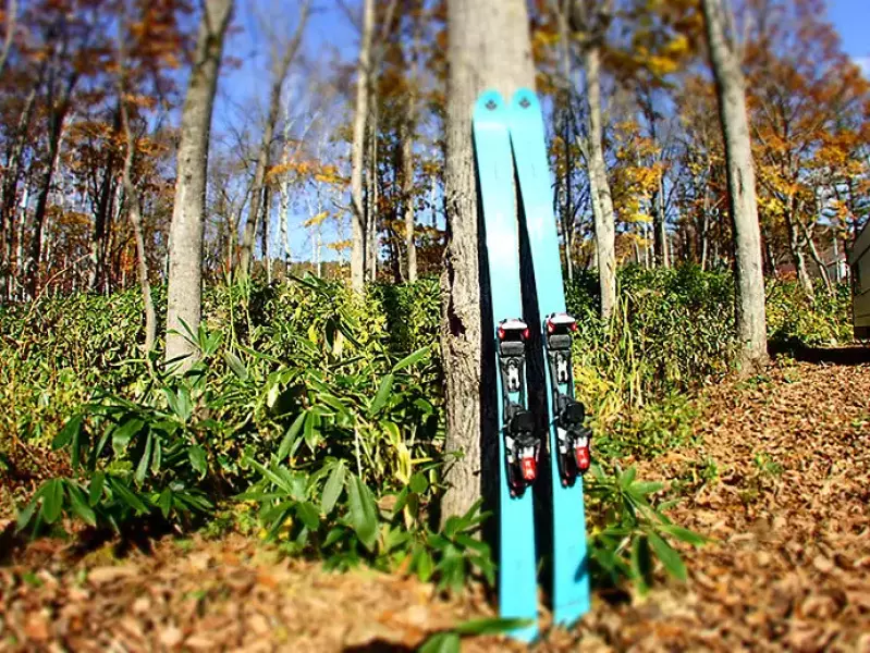 Vector Glide COLDOVA