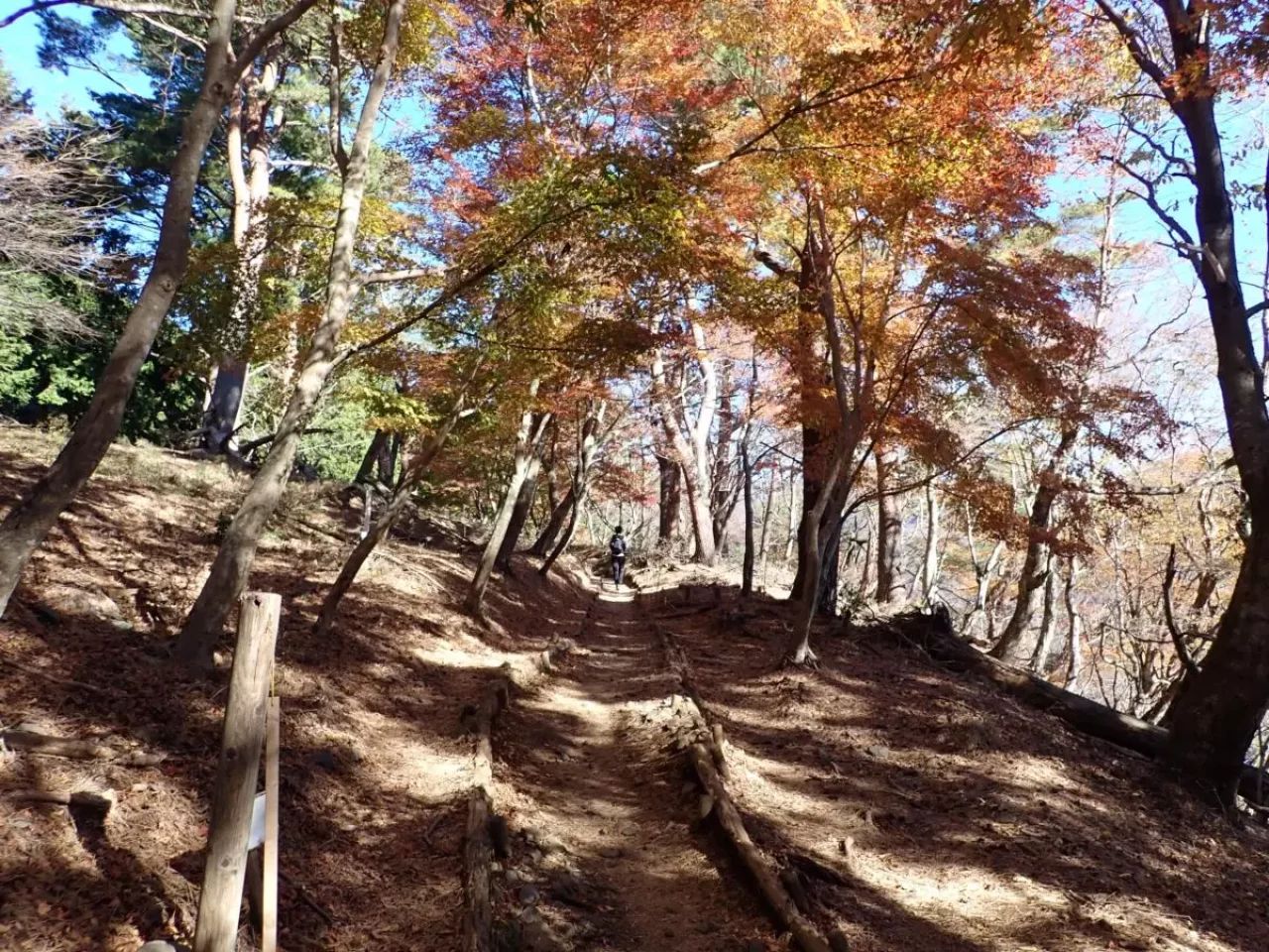 関東百名山 神奈川 登山道