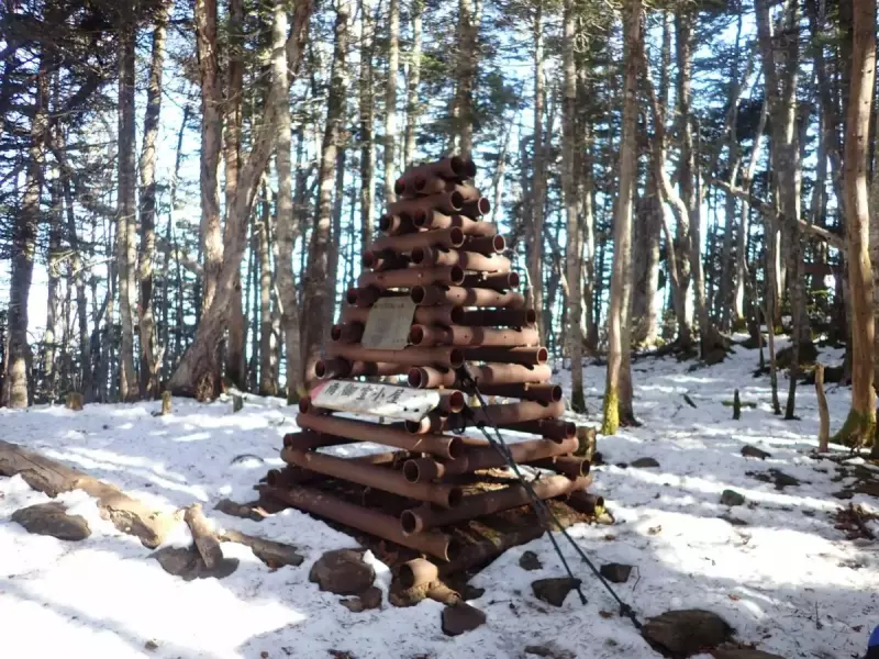 鳳凰三山 南アルプス 登山 観音岳  苺平