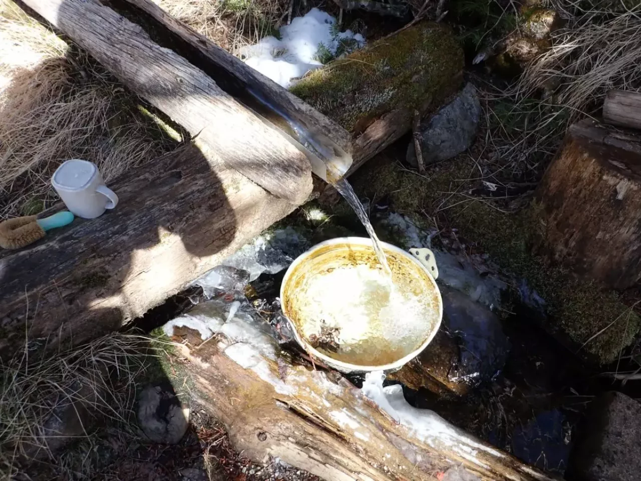 鳳凰三山 南アルプス 登山 観音岳 水場