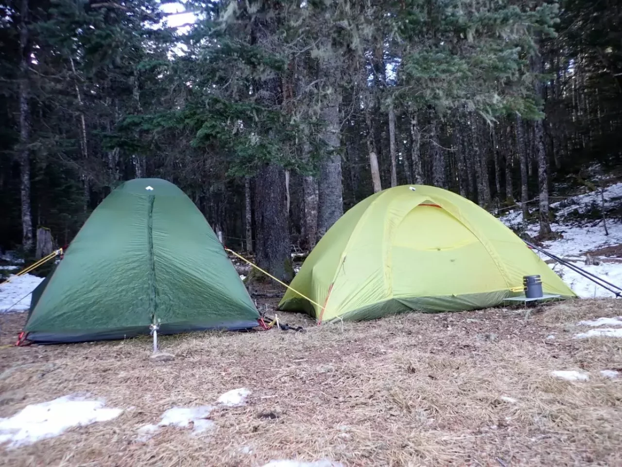 鳳凰三山 南アルプス 登山 南御室小屋 テント場