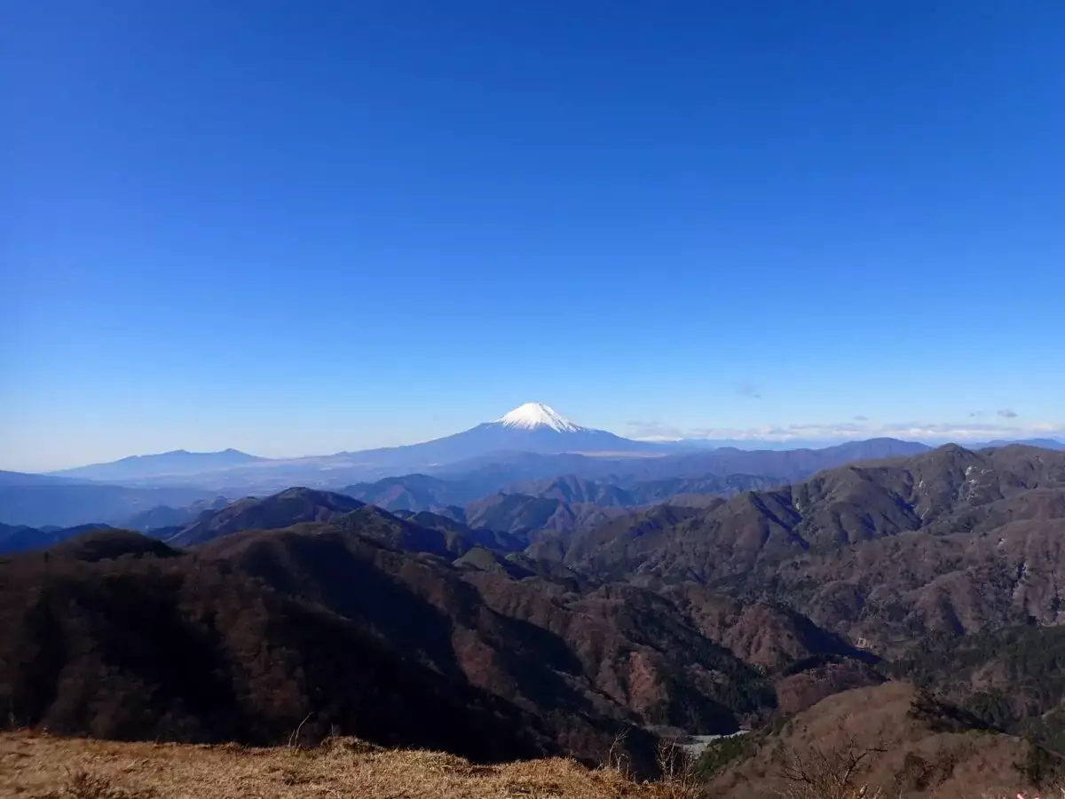 神奈川県の関東百名山-おすすめの山と魅力をレビュー