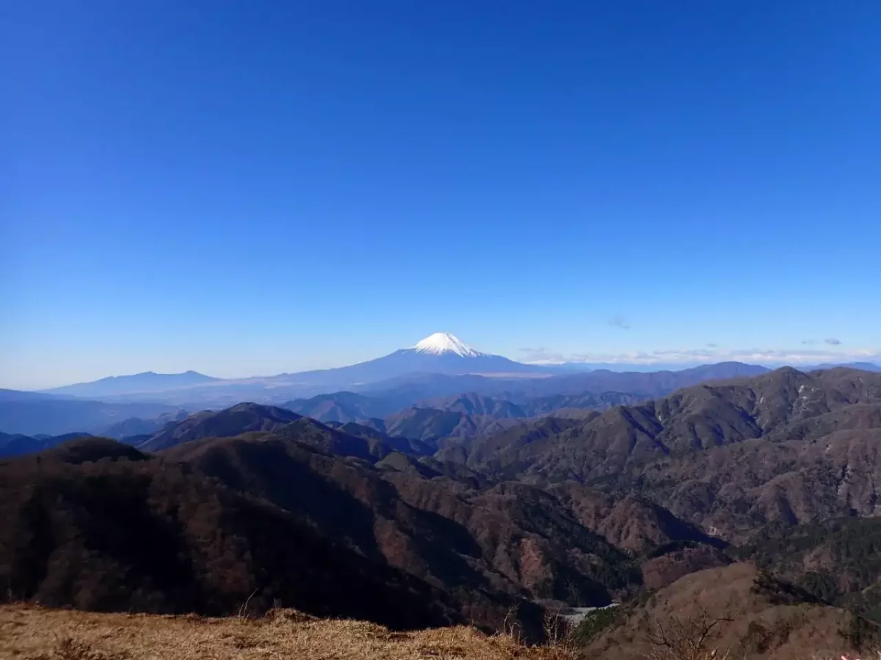 関東百名山 神奈川 富士山