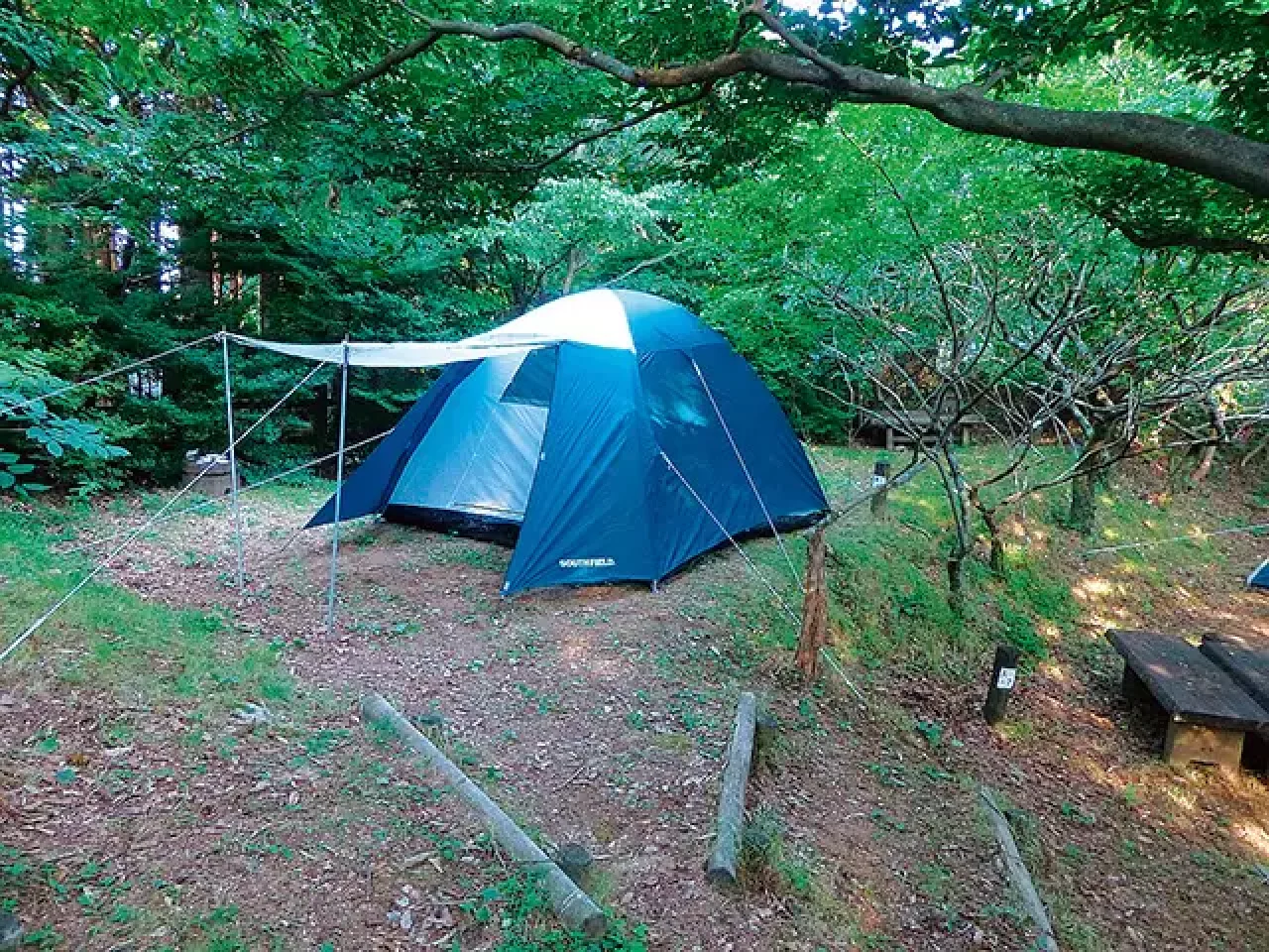 ちはや園地 キャンプ&BBQ