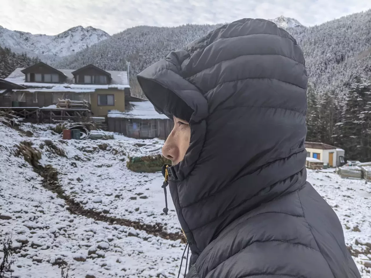 ホグロフスの化繊ジャケット ミミックフードのフード