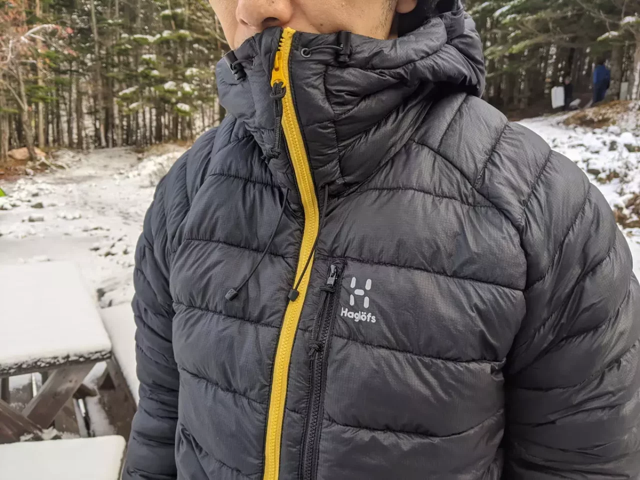 ホグロフスらしいカラーリング