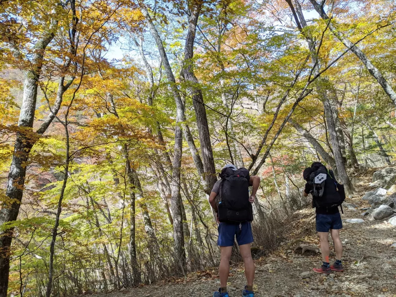鴨沢からスタートする難易度が最も低い登山コース