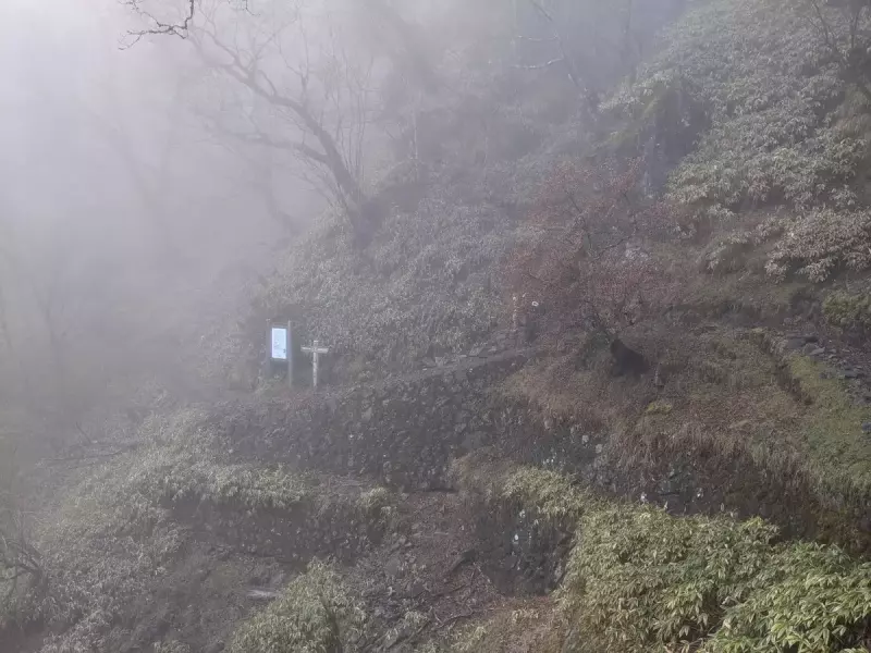 水干で美味しい水をいただこう