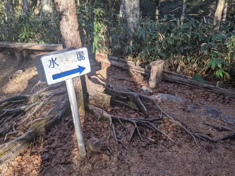 合戦尾根 水場