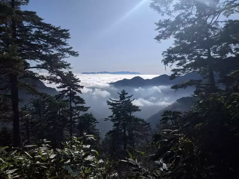 合戦尾根 富士見ベンチ