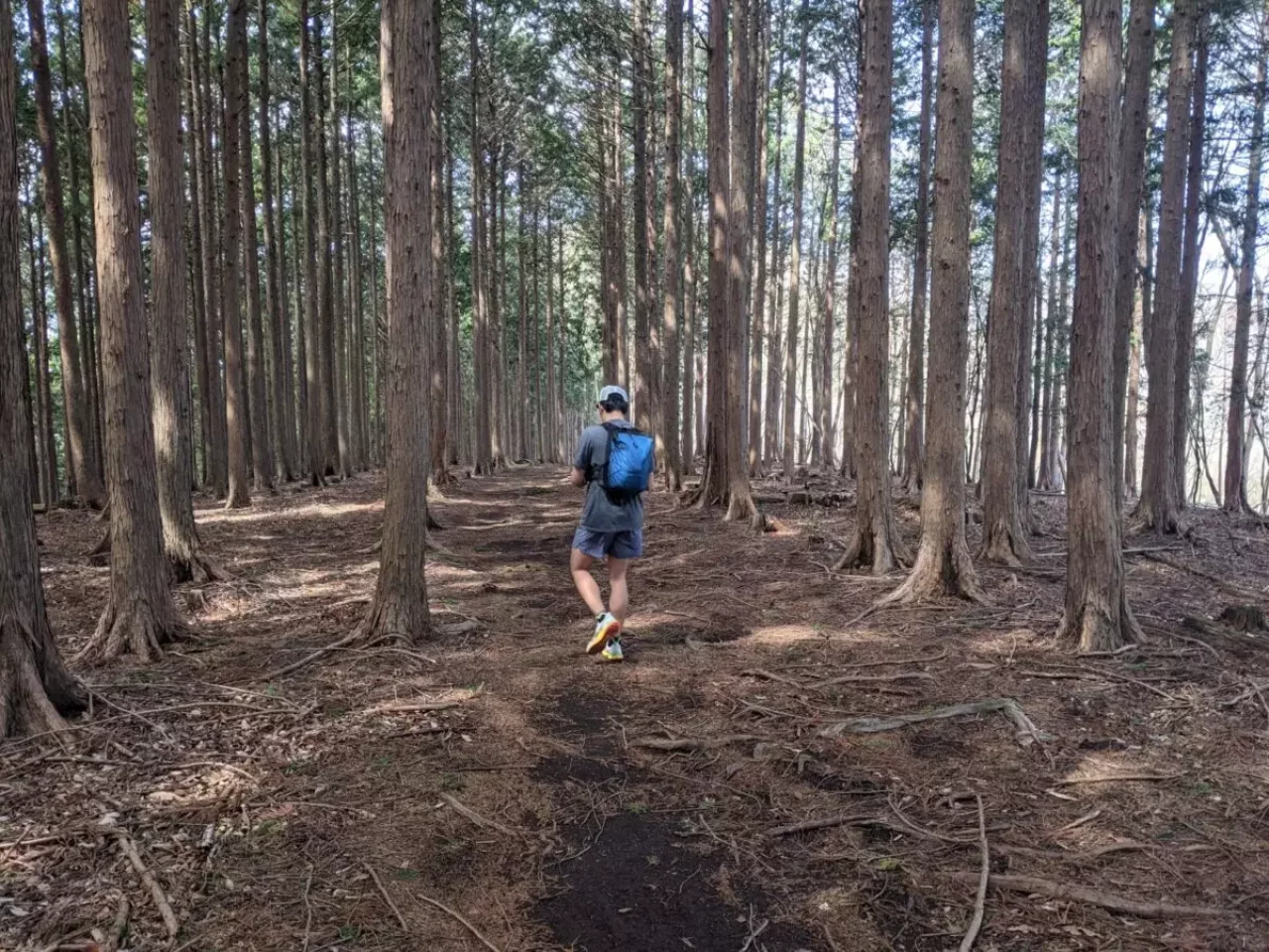 奥武蔵 名栗湖トレイルラン