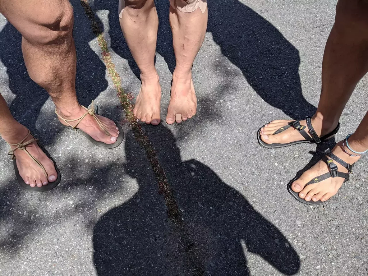 水沢山のトレイルラン