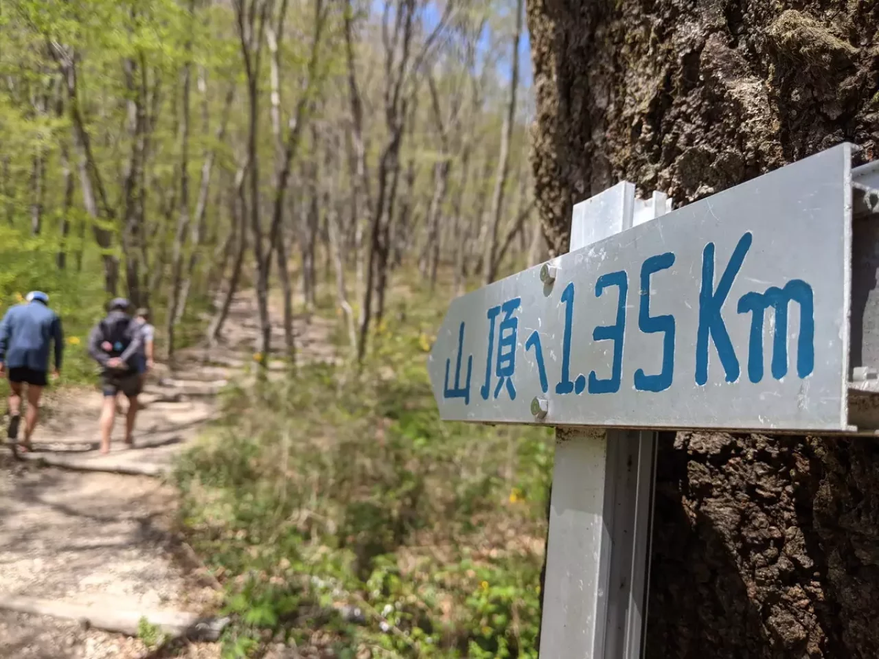 水沢山の登山コース