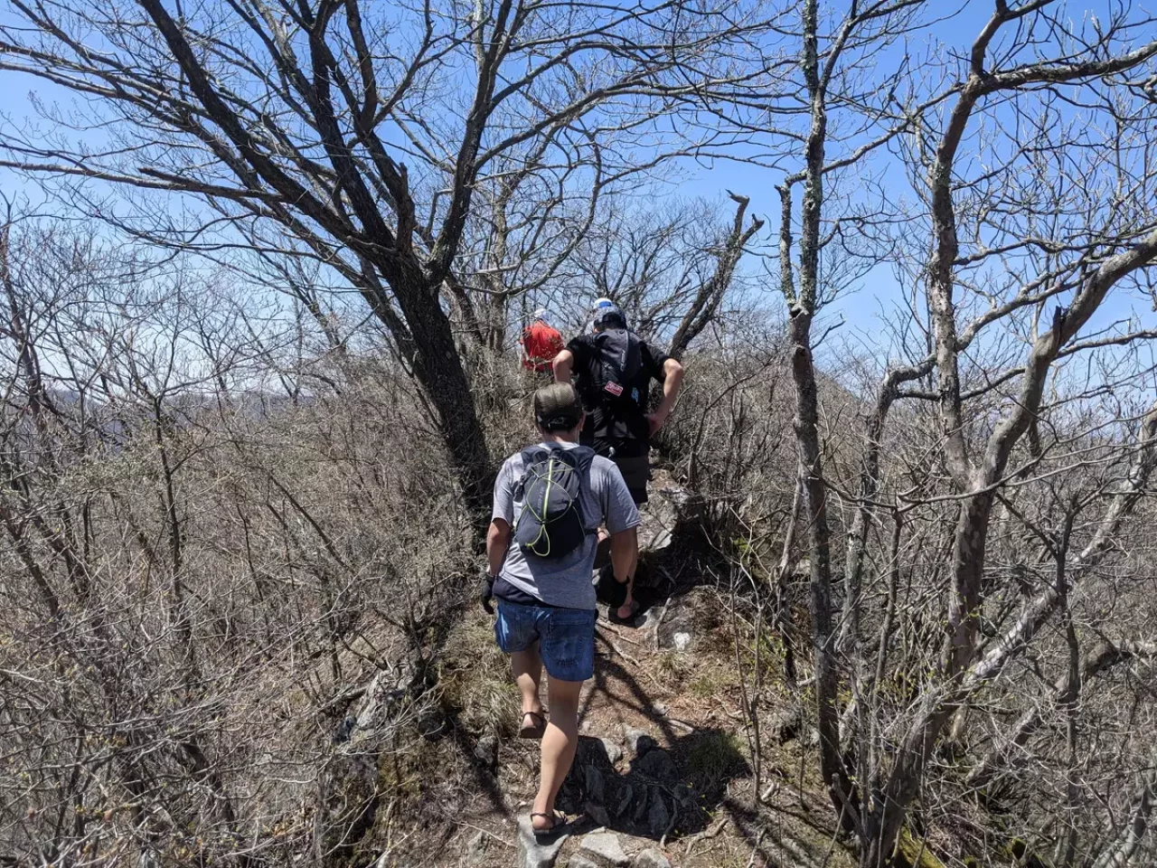 水沢山の下山ルート