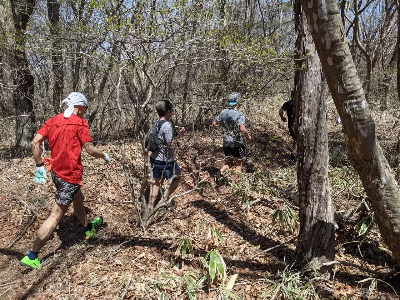 水沢山の下山ルート