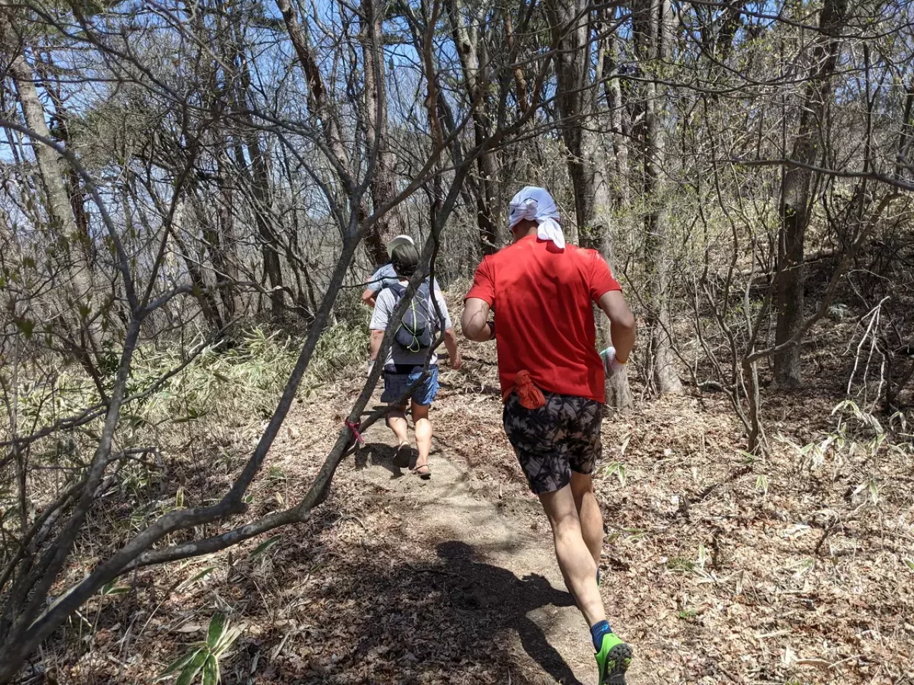 水沢山の下山ルート