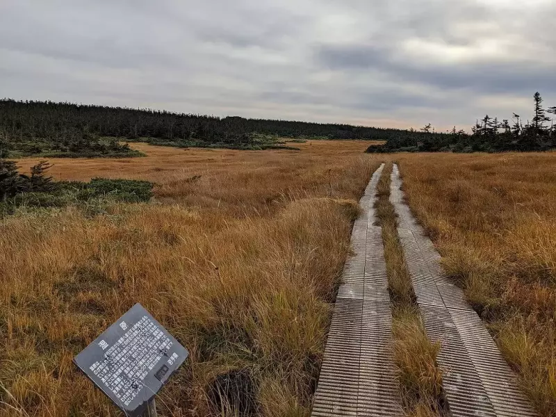 八幡平
登山 温泉