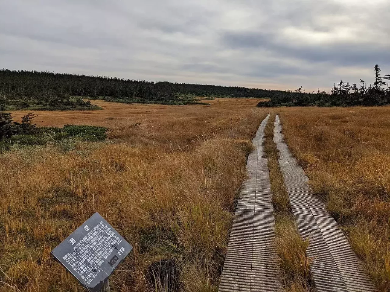 秋の八幡平 登山