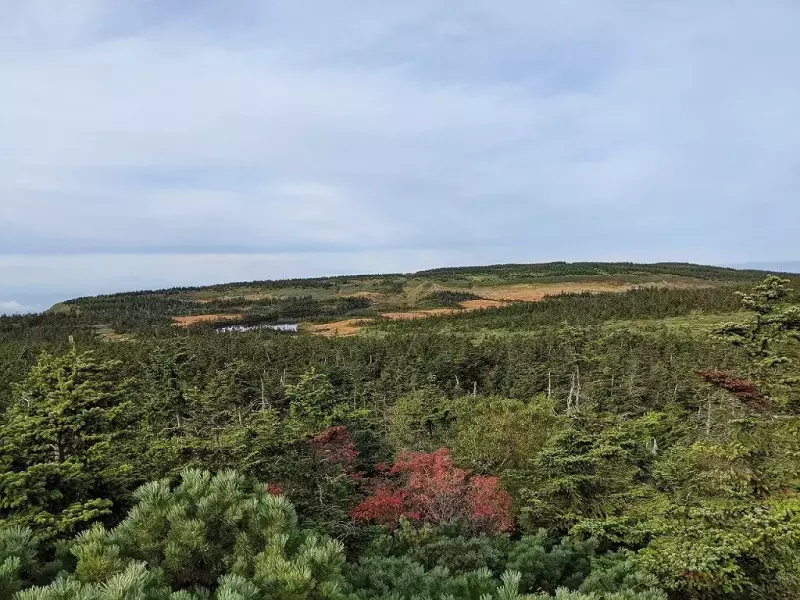 源太森の展望