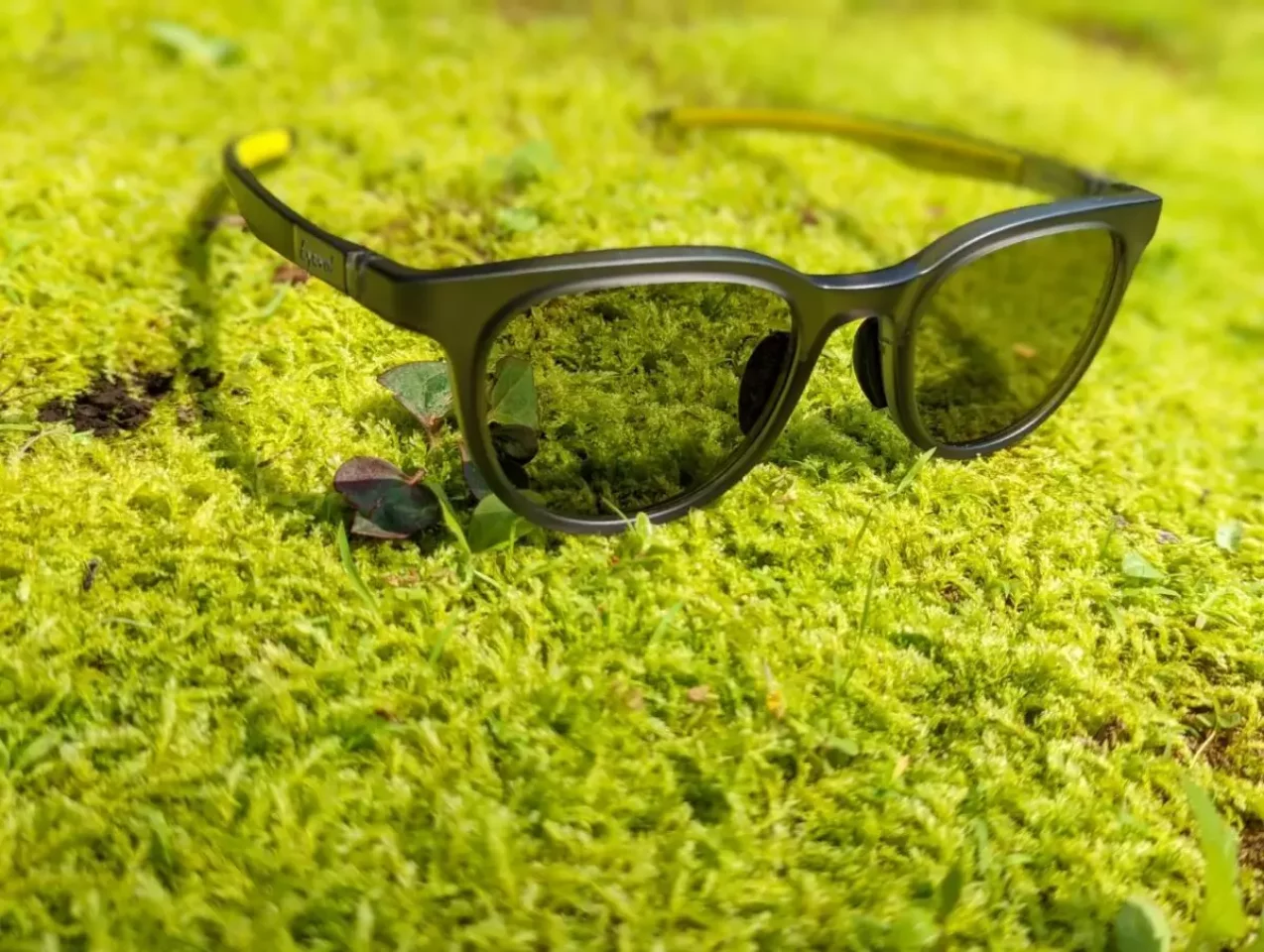 サングラスのシェイプで似合うを見つける