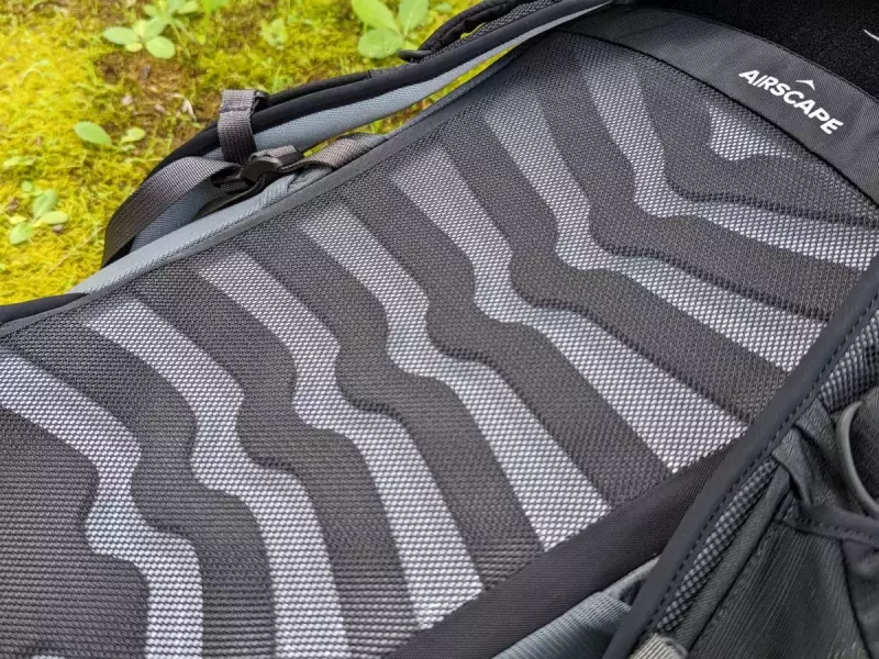 背面にはエアースケープと呼ばれるメッシュ地の中に空気の移動が生じる構造