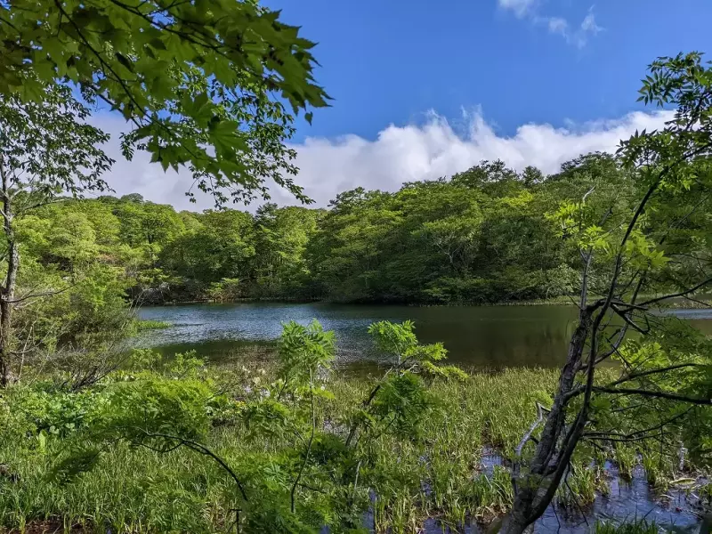 焼石岳 登山道から見える上沼
焼石岳 登山