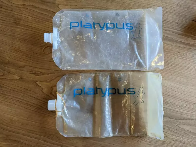 プラティパスの買い替え時っていつなの?